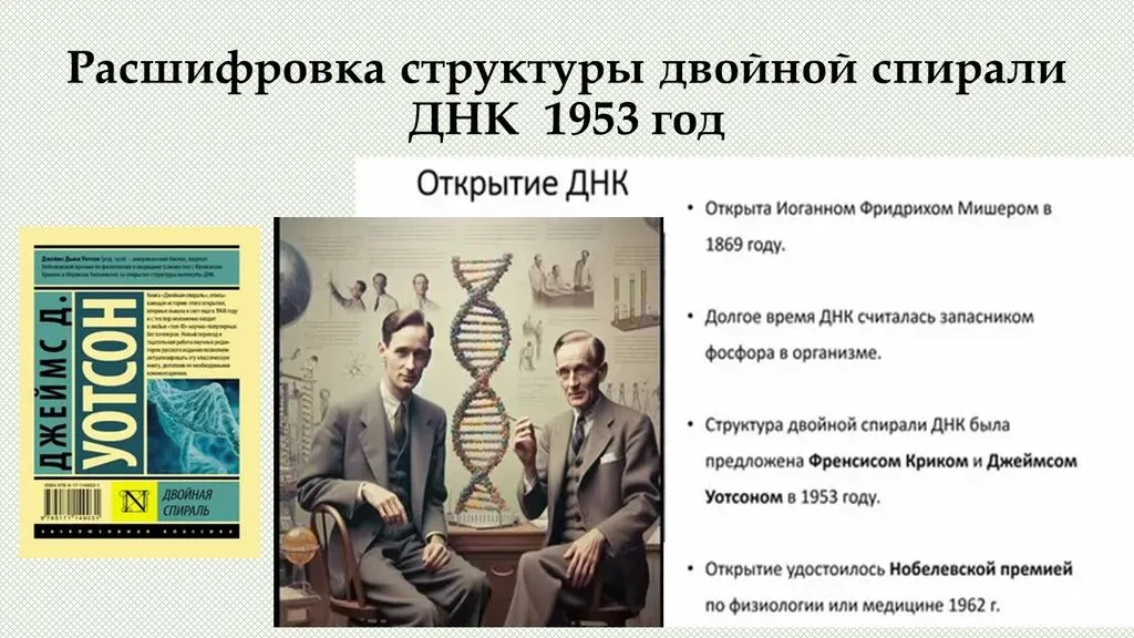 Слайд5