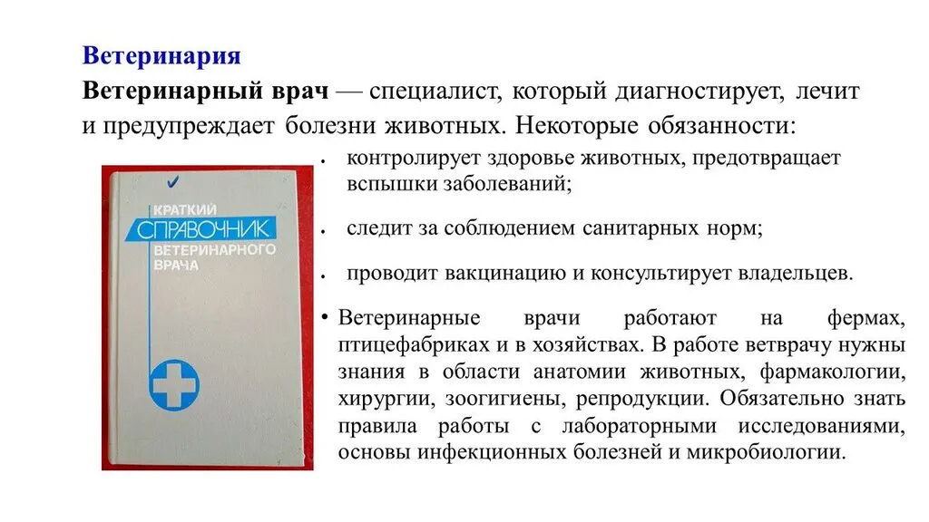 image (3)