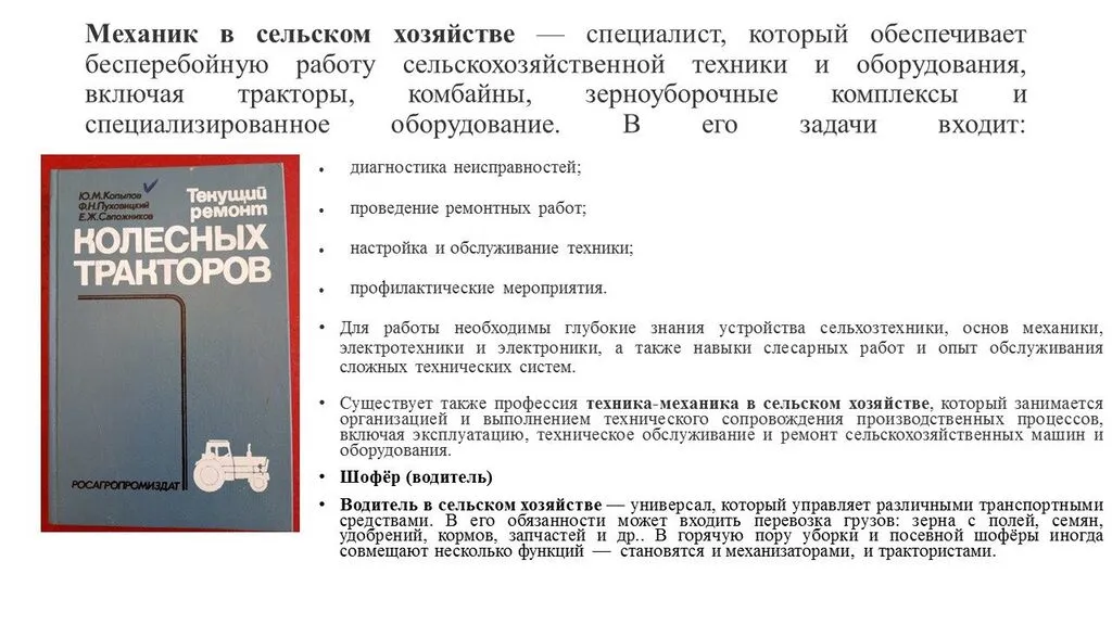 image (5)