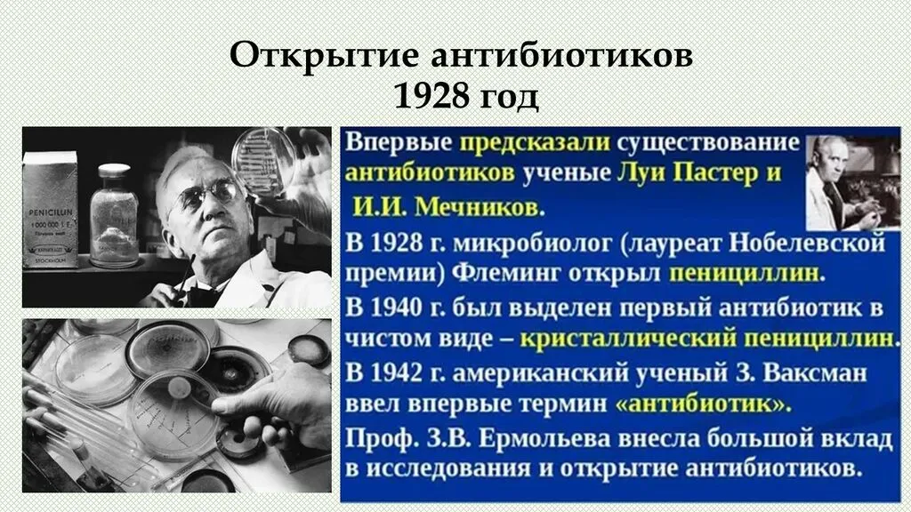 Слайд4