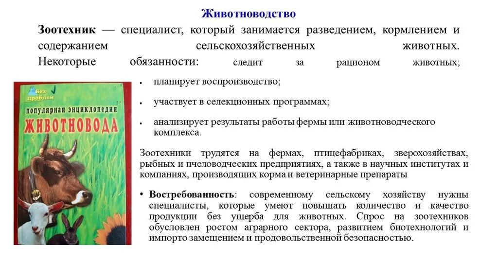 image (2)